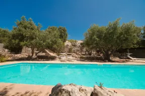 affitto-trullo-agapanthus-a-ostuni-puglia