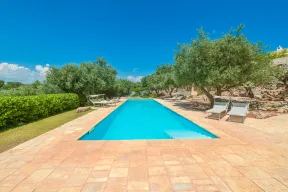 affitto-trullo-agapanthus-a-ostuni-puglia