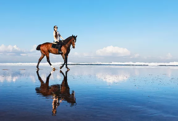 Horse riding Puglia